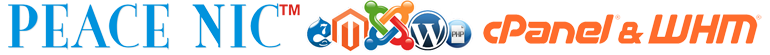 PEACE NIC Names Registry System